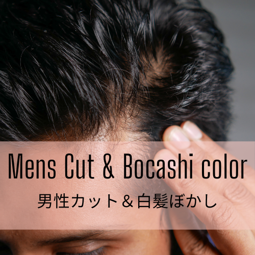 Mens Cut&Bocashi 男性カット＆白髪ぼかし